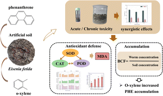 Graphical abstract: Increased phenanthrene toxicity to Eisenia fetida upon co-exposure to o-xylene