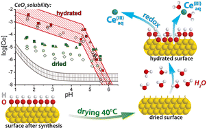 Graphical abstract: Overlooked impact of surface hydroxylation on the solubility of less-soluble compounds: a case study of CeO2