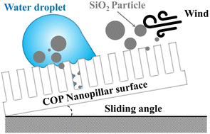 Graphical abstract: Antifouling performance against SiO2 particulate matter adhesion of cyclo olefin polymer nanopillar surfaces