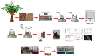 Graphical abstract: Biomass-based water purification: a simple and novel one-pot process for converting date palm mesh fibers into a valuable nanomagnetic composite for water treatment