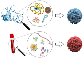 Graphical abstract: Understanding the role of biomolecular coronas in human exposure to nanomaterials