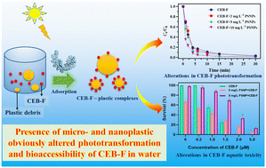 Graphical abstract: Micro- and nanoplastic-mediated phototransformation and bioaccessibility of fluorinated liquid crystal monomer in aquatic environments