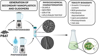 Graphical abstract: An improved method to generate secondary nanoplastics and oligomers: application in ecotoxicology