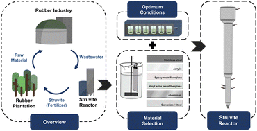 Graphical abstract: Development of a fluidized bed reactor for phosphorus recovery from rubber industry wastewater through struvite formation: material selection and prototype