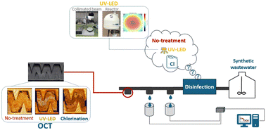 Graphical abstract: UV-LED irradiation for biofouling reduction in drip irrigation emitters fed with wastewater effluent
