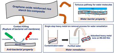 Graphical abstract: Versatile, flexible rice starch–graphene oxide bio-nanocomposites