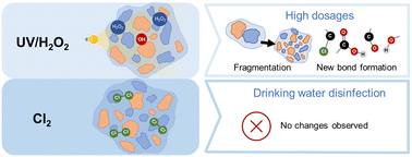 Graphical abstract: Impact of chlorine and UV/H2O2 on microplastics in drinking water