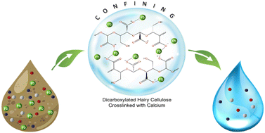 Graphical abstract: Environmental application of dicarboxylated hairy cellulose crosslinked with calcium for removal and confining of Pb(ii)