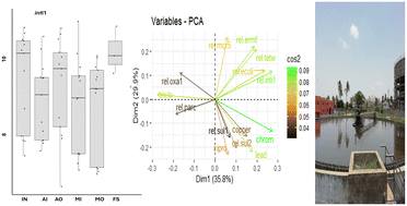 Graphical abstract: Removal of antibiotic resistance genes and co-selectors in a full-scale sewage treatment plant during droughts and floods