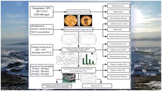 Graphical abstract: Fly ash integration for enhanced partial nitrification stabilization and aerobic granular sludge stability under low-temperature conditions