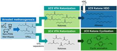 Graphical abstract: Catalytic upgrading of wet waste-derived carboxylic acids to sustainable aviation fuel and chemical feedstocks