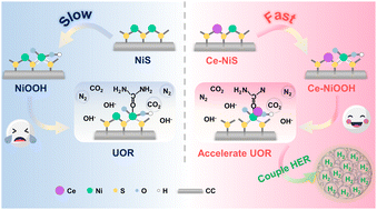 Graphical abstract: Ce-induced NiS bifunctional catalyst transformation: enhancing urea oxidation coupled with hydrogen electrolysis
