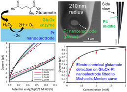 Graphical abstract: Enzyme-modified Pt nanoelectrodes for glutamate detection