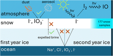 Graphical abstract: Iodine speciation in snow during the MOSAiC expedition and its implications for Arctic iodine emissions