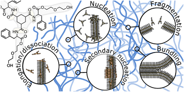 Graphical abstract: Fiber formation seen through the high-resolution computational microscope