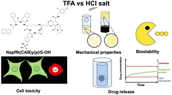 Graphical abstract: Impact of counterion and salt form on the properties of long-acting injectable peptide hydrogels for drug delivery