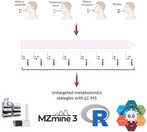 Graphical abstract: An untargeted metabolomics approach applied to the study of the bioavailability and metabolism of three different bioactive plant extracts in human blood samples