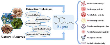 Graphical abstract: Beyond flavor: the versatile roles of eugenol in health and disease