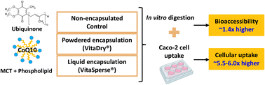 Graphical abstract: CoQ10 bioaccessibility and Caco-2 cell uptake improved with novel medium chain triglyceride encapsulation