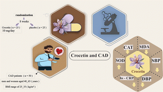 Graphical abstract: The effect of crocetin (a saffron carotenoid) supplementation on antioxidant and inflammatory indexes and serum leptin concentration in patients with coronary artery disease