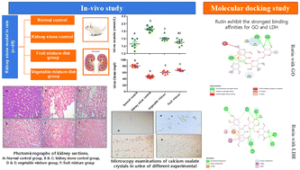 Graphical abstract: The potential role of alkaline diets in prevention of calcium oxalate kidney stone formation
