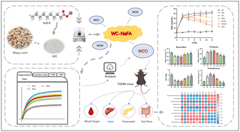 Graphical abstract: Engineering waxy corn flour with sodium fatty acids: structural modifications and implications for diabetes management