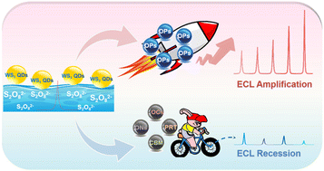 Graphical abstract: Non-enzymatic signal-on electrochemiluminescence detection of organophosphorus pesticides based on tungsten disulfide quantum dots