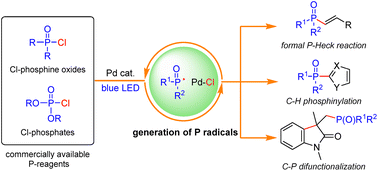 Graphical abstract: A general platform for phosphorylation reactions enabled by photoinduced palladium catalysis