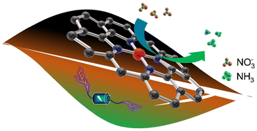 Graphical abstract: Green synthesis of a magnesium single-atom catalyst from Spinacia oleracea chlorophyll extracts for sustainable electrocatalytic nitrate reduction to ammonia