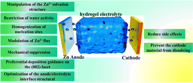 Graphical abstract: Hydrogel-stabilized zinc ion batteries: progress and outlook