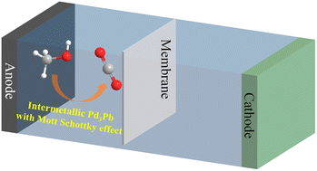 Graphical abstract: Ultrafine Pd3Pb intermetallic nanowires with Mott–Schottky effect achieve a complete oxidation pathway for methanol oxidation catalysis