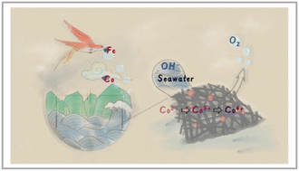 Graphical abstract: Eggshell membrane-derived metal sulfide catalysts for seawater splitting