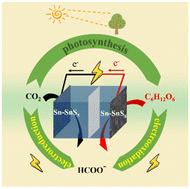 Graphical abstract: Construction of a self-supporting bifunctional Sn–SnSx electrocatalyst via one-step electrodeposition for formate production from coupled CO2 reduction and glucose oxidation