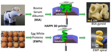 Graphical abstract: Additive manufacturing via protein denaturation