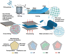 Graphical abstract: Polyvinyl alcohol solvent-free adhesives for biomass bonding via rapid water activation and heat treatment