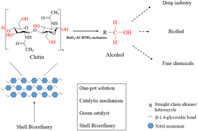 Graphical abstract: Shell biorefineries: mixed biofuel production from chitin