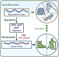 Graphical abstract: An upcycling strategy for polyamide 6: preparing thermoplastic polyamide elastomers from glycolysates produced by controlled degradation