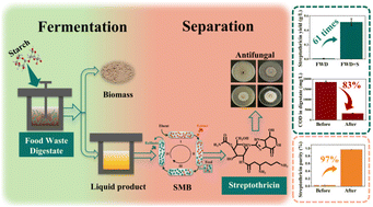 Graphical abstract: Biological production and simulated moving bed purification of streptothricin F from food waste digestate