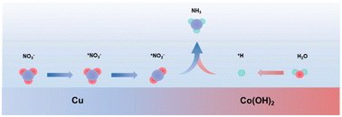 Graphical abstract: Active hydrogen tuning by copper–cobalt bimetal catalysts for boosting ammonia electrosynthesis from simulated wastewater