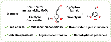 Graphical abstract: Green aromatic aldehyde production from biomass via catalytic fractionation and ozonolysis