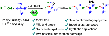 Graphical abstract: Metal-free catalytic nucleophilic substitution of primary alcohols with secondary phosphine oxides