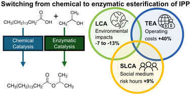 Graphical abstract: Does enzymatic catalysis lead to more sustainable chemicals production? A life cycle sustainability assessment of isopropyl palmitate