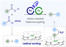 Graphical abstract: Iron/photoredox dual-catalyzed redox-neutral double decarboxylative C(sp3)–C(sp3) cross-coupling