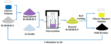 Graphical abstract: Confined synthesis of glucan oligomers from glucose in zeolites