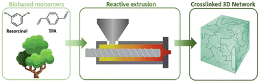Graphical abstract: Novel sustainable synthesis of a formaldehyde-free thermosetting phenolic resin through solvent-free reactive extrusion