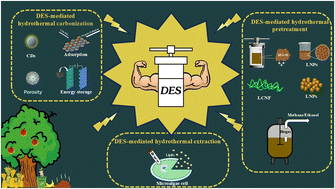Graphical abstract: Deep eutectic solvent-mediated hydrothermal treatment for biomass conversion: a review