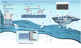 Graphical abstract: Fabrication of PVDF ultrafiltration membranes with methyl lactate: enhancing performance through green solvent practices