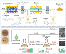Graphical abstract: Advancing biomass utilization: conversion of solid residues from pretreatment and enzymatic hydrolysis into porous carbon materials