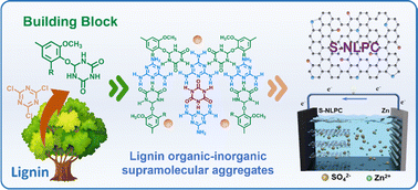 Graphical abstract: Lignin organic–inorganic supramolecular aggregate derived N,O co-doped porous carbon nanosheets for high performance zinc-ion hybrid capacitors