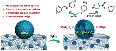 Graphical abstract: Mo2C-derived molybdenum oxycarbides afford controllable oxidation of anilines to azobenzenes and azoxybenzenes
